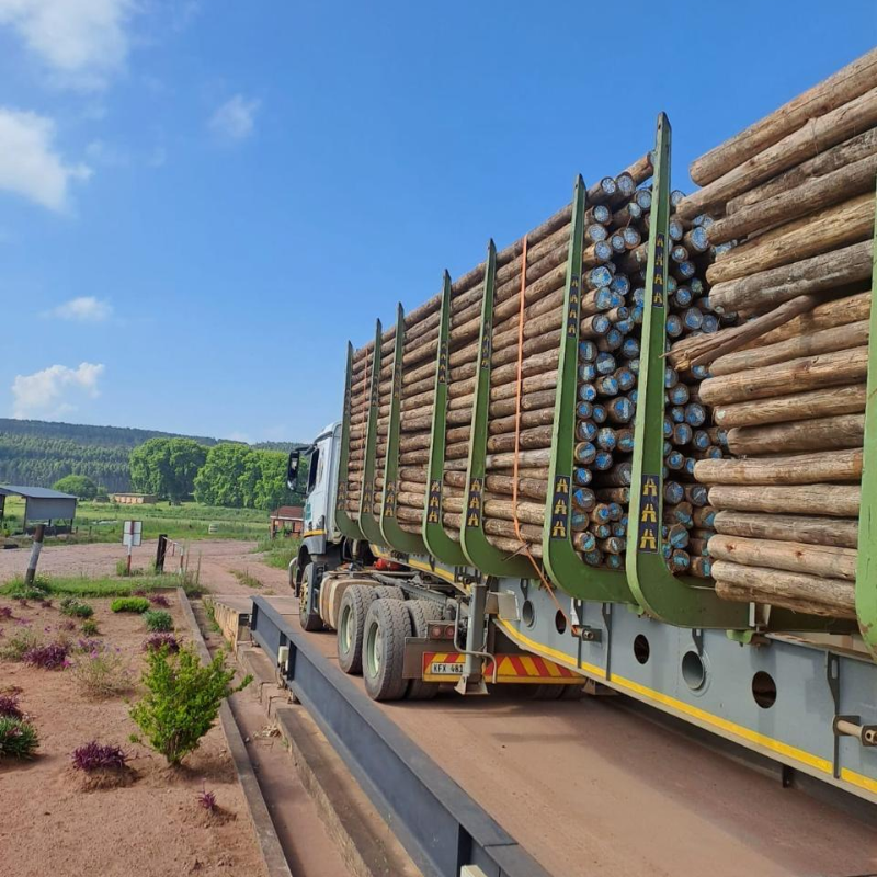 HWJ Timbers Project