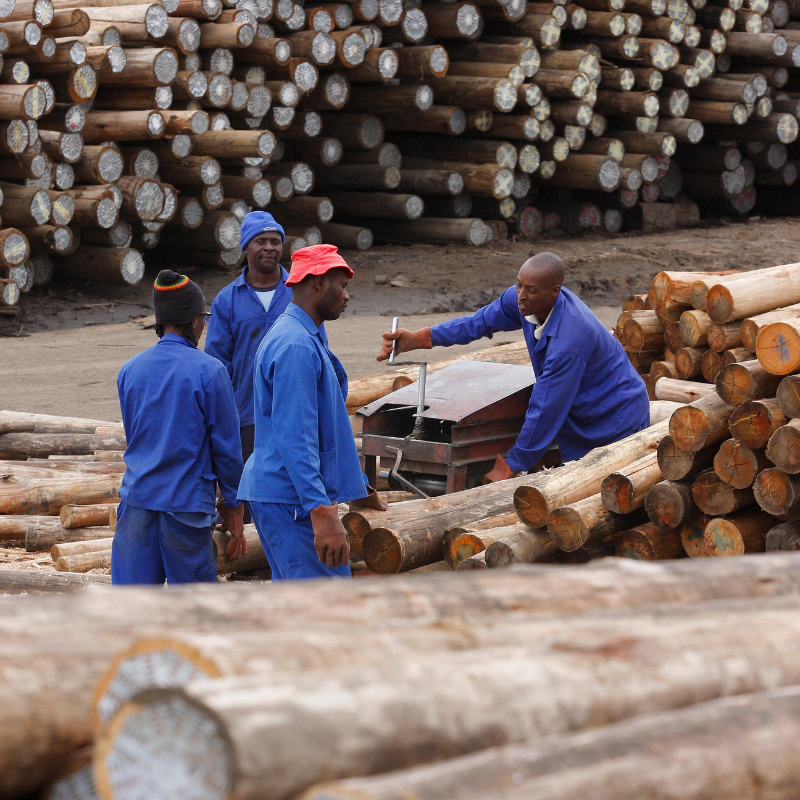 HWJ Timbers Project