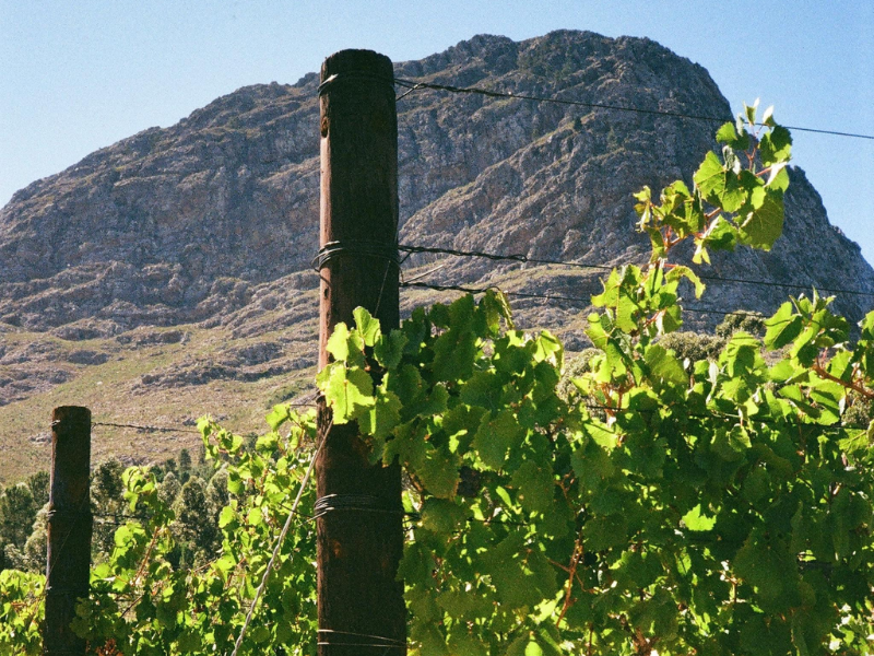 Agricultural Poles